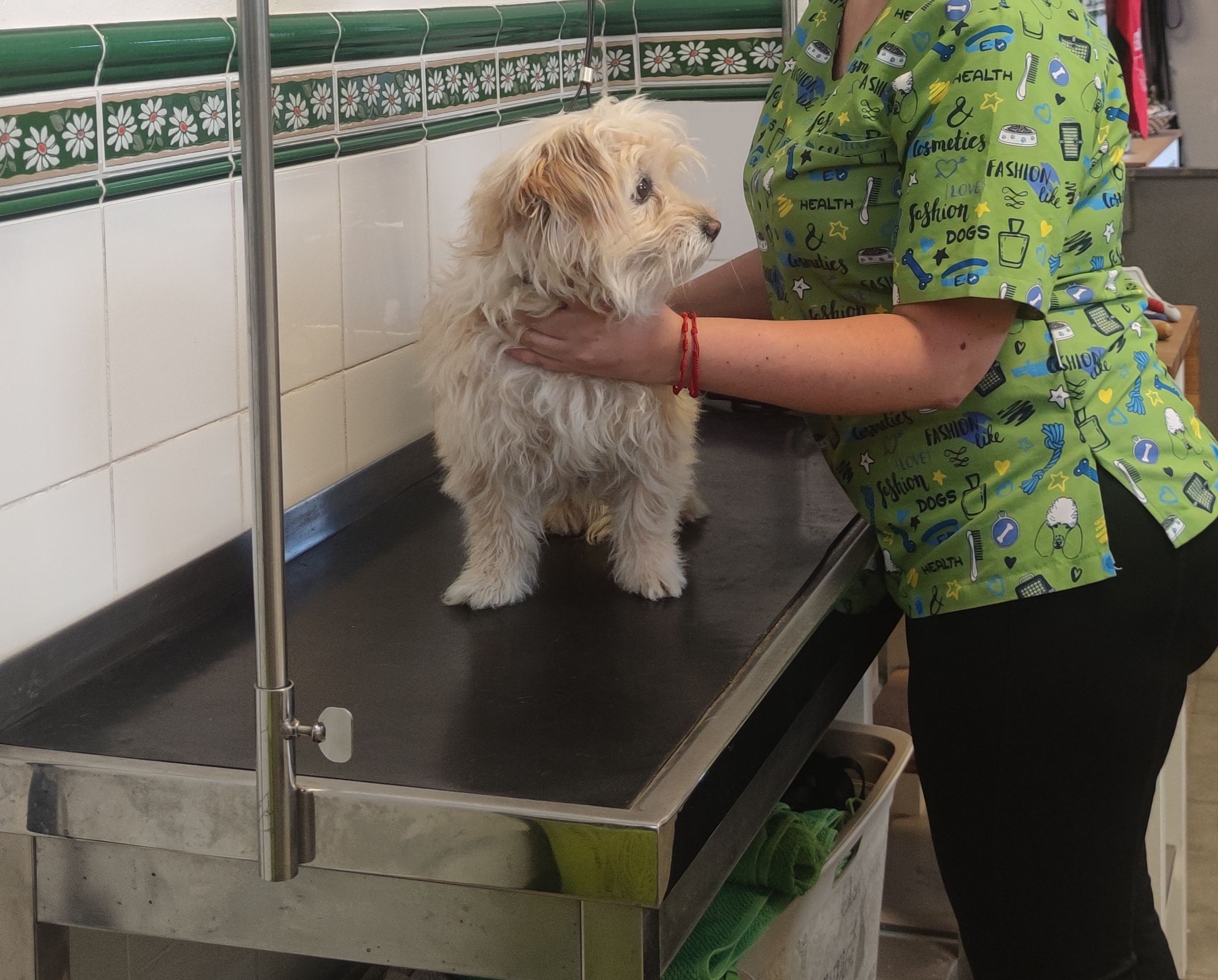 Peluquería de mascotas Yolapatitas